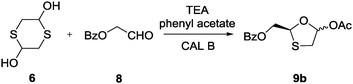 Synthesis of intermediate 9b with CAL B; rt, 83%.