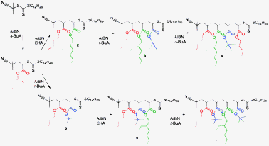 Sequence controlled insertion of four single monomer units forming 2 sets of oligoacrylate RAFT agents.