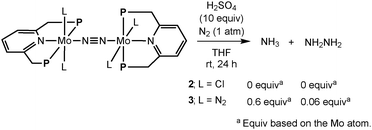 Protonation of dinitrogen-bridged dimolybdenum complexes (2 and 3).