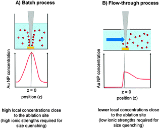 Local NP concentration gradients during batch and liquid flow PLAL.