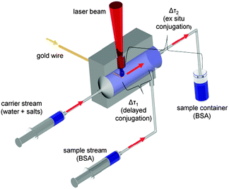 Experimental setup for laser ablation in liquid flow using delayed (Δτ1) and ex situ (Δτ2) conjugation.