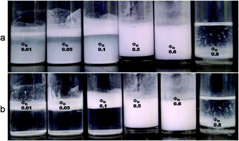 Stability of β-CD stabilized emulsions under varying tetradecane volume fractions. (a) Emulsions 48 hours after emulsification. Note the turbidity of the aqueous layer in the systems at low Φo due to small microparticles which can stay suspended in the aqueous phase for a longer time. The most stable emulsion was formed at Φo = 0.6. (b) The layers of creamed emulsion were still stable after 4 months.
