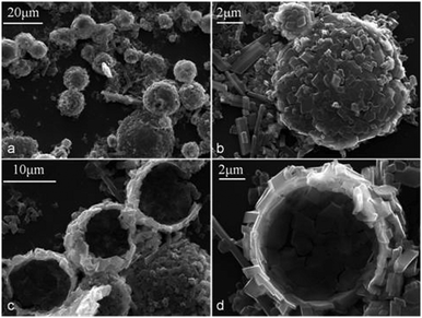 β-CD–tetradecane (Φo = 0.3) colloidosomes: (a) intact colloidosomes of β-CD–tetradecane IC microcrystals after the evaporation of the oil cores; (b) the larger magnification image of such cylcodextrinosome lying on the surface of microscope slide; (c) and (d) crack-open hollow colloidosomes of β-CD–tetradecane ICs.
