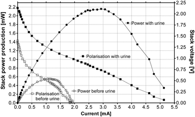 Power and polarisation curves from the ceramic 12× MFC stack, when fed with acetate–tryptone extract (open symbols) and urine (closed symbols).