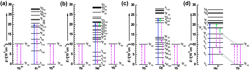 (a) Schematic partial energy-level diagrams for the Er3+–Yb3+ couple showing the quantum-cutting mechanism starting from the 4F7/2 level. A single blue photon absorbed by Er3+ is converted into two ∼1000 nm NIR photons of Yb3+via two sequential ET steps: (1) cross-relaxation ET of [Er3+ (4F7/2 → 4I11/2); Yb3+ (2F7/2 → 2F5/2)]; (2) cross-relaxation ET of [Er3+ (4I11/2 → 4I15/2); Yb3+ (2F7/2 → 2F5/2)]. (b) Schematic partial energy-level diagrams for the Nd3+–Yb3+ couple showing the quantum-cutting mechanism starting from the 2G9/2 level. A single blue photon absorbed by Nd3+ is downconverted into two ∼1000 nm NIR photons of Yb3+ ions via two-step ET mechanisms: (1) cross-relaxation ET of [Nd3+ (2G9/2 → 4F3/2); Yb3+ (2F7/2 → 2F5/2)]; (2) cross-relaxation ET of [Nd3+ (4F3/2 → 4I9/2); Yb3+ (2F7/2 → 2F5/2)]. (c) Schematic partial energy-level diagrams for the Er3+–Yb3+ couple showing the quantum-cutting mechanism starting from the 4F9/2 level. One blue photon absorbed by Dy3+ is downconverted into two NIR photons from Yb3+ through two sequential ET steps: (1) cross-relaxation ET of [Dy3+ (4F9/2 → 6H5/2); Yb3+ (2F7/2 → 2F5/2)]; (2) cross-relaxation ET of [Dy3+ (6H5/2 → 6H15/2); Yb3+ (2F7/2 → 2F5/2)]. (d) Schematic partial energy-level diagrams for the Ho3+–Yb3+ couple showing the quantum-cutting mechanism starting from the 5S2,5F4 level. Note that the 5F3 level of Ho3+ is located at ∼20 600 cm−1, while the 5S2,5F4 level is located at ∼18 600 cm−1.