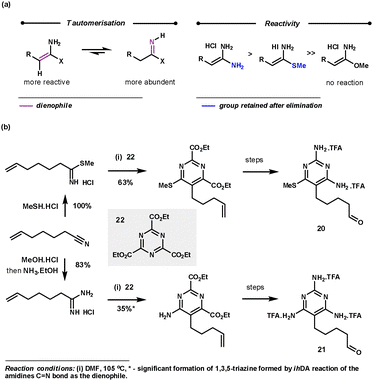Amidine reactivity with 1,3,5-triazines and Boger's application for the synthesis of 20 and 21.