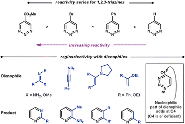 Reactivity and regioselectivity of 1,2,3-triazines.