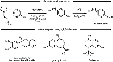 Targets using the ihDA/rDA reaction of 1,2,3-triazines.