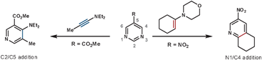 The regioselectivity of ynamines and amidines with 1,3-diazines.