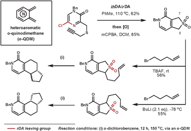 Hoornaert's cycloaddition/cycloreversion sequences to form 3 new rings systems.