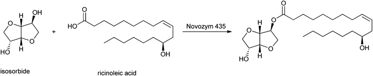 Lipase-mediated esterification of isosorbide to ricinoleic acid.