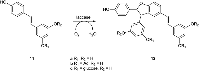 Dimerisation of resveratrol (7a) and two derivatives by laccase.
