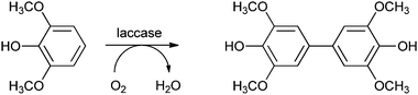 Dimerisation of 2,6-dimethoxyphenol by laccase.