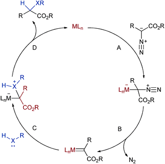 General mechanism for XHI.