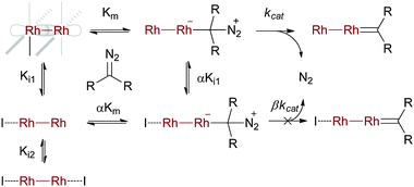 Kinetic analysis of the effect of inhibitors on rhodium-catalysed reactions.
