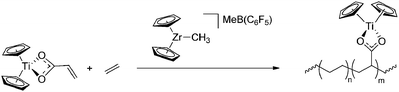 Direct copolymerisation of ethene and acrylate salts formed by complexation with metallocene cations.