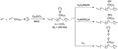 Functionalisation of polyethene via ETM-catalysed direct copolymerisation with borane-containing monomers, followed by subsequent functionalisation steps.