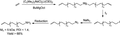 End-functionalisation of polyethene via lanthanide catalysis in combination with catalytic chain transfer to magnesium alkyls.
