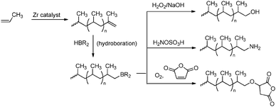 End-functionalisation of polypropene via hydroboration reactions converting the unsaturated chain ends.