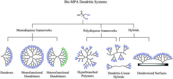 Schematic overview of the sub-classes of dendritic polymers generated from bis-MPA.