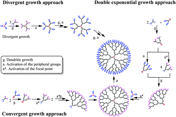 Overall strategies that have successfully been employed for the construction of homofunctional traditional bis-MPA dendrimers.