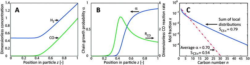 Results of the reaction-diffusion model for the spherical catalyst particle at T = 488 K, the gas phase molar ratio H2/COin = 1.8, dcat = 0.5 mm, FYS = 2, P = 30 bar. z = 0 at the centre and z = 1 at the surface of the particle. (A) Liquid H2 and CO concentration profile in the catalyst particle normalized to CO concentration at the external particle surface, (B) profile of chain growth probability and CO conversion rate, (C) resulting product distributions calculated from local product distributions and from average α.