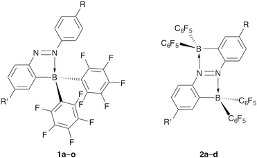 2-Borylazobenzenes 1a–o and 2,2′-diborylazobenzenes 2a–d. Substituents R and R′ of 1a–o and 2a–d are shown in Tables 1 and 2, respectively.