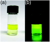 Photographs of 1n in water–dichloromethane under irradiation by (a) ambient light and (b) UV light. The upper and lower layers of the sample are water and dichloromethane, respectively. The photographs are reproduced from ref. 14 with permission from Elsevier.