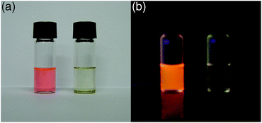 Photographs of hexane solutions of 1c under irradiation by (a) ambient light and (b) UV light without (left) and with (right) trifluoroacetic acid. The photographs are reproduced from ref. 12 with permission from the Chemical Society of Japan.