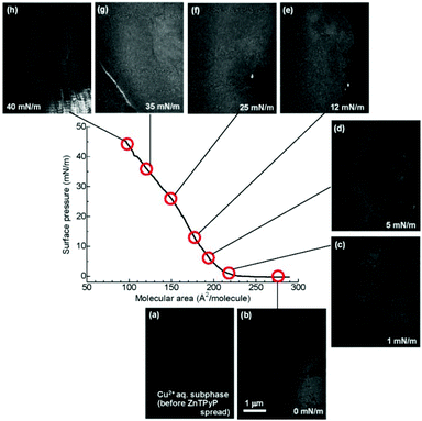 Brewster angle microscopy (BAM) images of the NAFS-21 nanosheets at the air–water interface captured during compression. (a) Surface of the Cu2+ ion aqueous solution subphase before spreading ZnTPyP molecules, (b) at 0 mN m−1, after spreading ZnTPyP molecules, (c) at 1 mN m−1, (d) at 5 mN m−1, (e) at 12 mN m−1, (f) at 25 mN m−1, (g) at 35 mN m−1 and (h) at 40 mN m−1. Before surface compression, a number of randomly moving domains were observed – the image was captured while the domains floated through the monitor. Black parts represent exposed liquid surface. After surface compression was initiated, the movement of the domains slowed down. Large sheet domains were observed even at low surface pressures, π ∼ 1 mN m−1. As the surface pressure started increasing, the density of black parts became smaller and no black parts were observed at 35 mN m−1. However, a white line clearly appeared at 35 mN m−1, implying that neighbouring sheet edges were now touching, leading to the creation of bumps. Further compression caused cracks in the sheets which appeared as black lines.