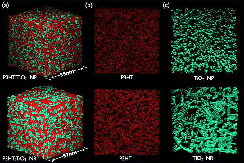 (a) 3D Morphologies of P3HT:TiO2 NP (upper panel) and NR (lower panel) blends; P3HT chains and nanocrystals are colored red and blue, respectively. Organization of (b) P3HT chains and (c) nanocrystals in P3HT:TiO2 NP (upper panel) and NR (lower panel) blends with blending ratio 1 : 1.
