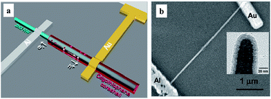 (a) Schematic illustration and (b) SEM image of a hybrid nanowire PV with the core–shell structure (ZnO core and thiophene shell). In the inset of (b) is a TEM image of the core–shell structure. Reproduced with permission from ref. 128, Copyright 2010, American Chemical Society.