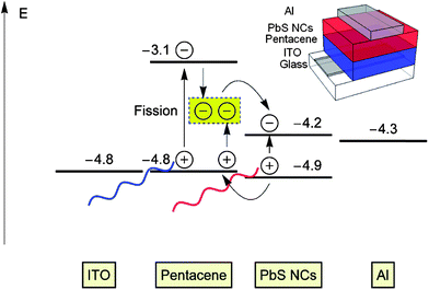 Device structure and energy diagram of hybrid solar cells made of pentacene and PbS NCs. Triplet excitons are created by singlet exciton fission in pentacene and low-energy excitons are absorbed by PbS NCs. Reproduced with permission from ref. 60, Copyright 2012, American Chemical Society.