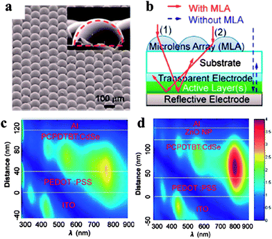 Demonstration of the effect of optical engineering on light absorption. (a) A scanning electron micrograph image of a representative microlens array (MLA); (b) schematic illustration of light behavior with (solid arrows) and without (dashed arrows) an MLA for an organic solar cell. With an MLA, the optical path length is increased and the light reflection loss is decreased; (c and d) calculated light intensity profiles for the devices without (c) and with (d) an optical spacer (a layer of ZnO film). With an optical spacer, the optical electric field is enhanced in the active layer. (a and b) Reproduced with permission from ref. 93, Copyright 2012, The Royal Society of Chemistry. (cand d) Reproduced with permission from ref. 91, Copyright 2012, The Royal Society of Chemistry.