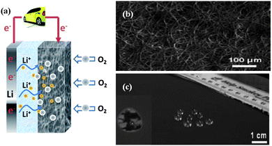 (a) The scheme of Li–O2 batteries. (b) The SEM image showing micro-to-meso-porous structure of SWNT macro-films. (c) The photograph of the hydrophobic surface of the SWNT macro-films. (b) and (c) are reproduced with permission from ref. 37 ©2007, The Royal Society of Chemistry.