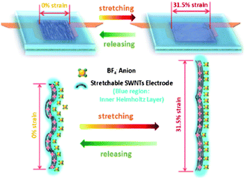 The microscale schematics of the electrode/electrolyte interface in the fully stretchable supercapacitor without and with strains. Reproduced with permission from ref. 73 ©2012, American Chemical Society.