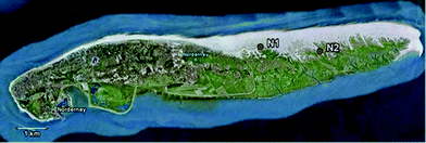 Map of the island Norderney showing the two sampling sites N1 and N2 (source: Google Earth).
