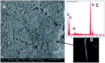 (A and B) SEM images of particle x (Fig. 3). (C) EDX spectra showing high titanium (Ti) content, not specified plastic carbon (C) and oxygen (O).