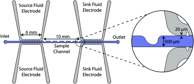 The overhead view schematic of the microfluidic device. The inset shows a detailed view of a sawtooth feature and the thin insulating barrier separating the sample channel and electrode channels.