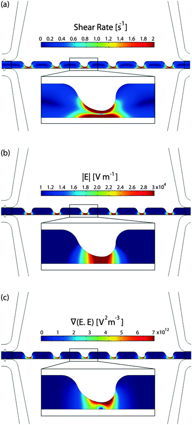Computational modeling of the sample channel: (a) shear rate, (b) electric field magnitude, and (c) ▽(E⃑RMS·E⃑RMS).