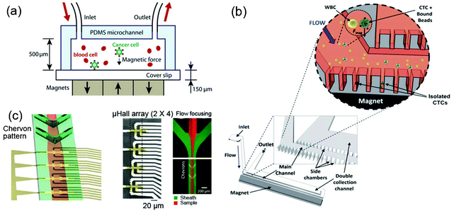 (a) Schematic of a microfluidic device using magnets placed under a main flow channel, along with magnetically-labeled CTCs, to accomplish CTC isolation from a blood sample. (b) Microfluidic device with magnets placed under perpendicularly-oriented side chambers used for collection of magnetically-labeled CTCs; the low fluid shear stresses in the dead-ended side chambers keep the collected CTCs viable. (c) Microfluidic device with a flow-focusing configuration to establish a single-file stream of cells through a microfluidic channel. Device is bonded to a micro-Hall detector array, such that each magnetically-labeled CTC passing over the array induces a Hall voltage and is thus counted. Reproduced from ref. 8–10 with permission from RSC and AAAS.