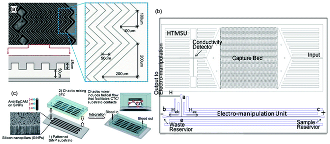 (a) Herringbone pattern in the channel ceiling of a microfluidic device for CTC isolation via affinity chromatography. (b) Schematic of a microfluidic device with integrated systems for CTC capture, enumeration, and electro-manipulation. (c) Image of a substrate whose surface consists of silicon nanopillars coated in anti-EpCAM antibodies, and schematic of the overall microfluidic device featuring a serpentine channel with a herringbone-patterned ceiling to constantly bring sample cells into contact with the substrate for CTC capture. Reproduced from ref. 13, 15, 16 with permission from NAS, ACS and Wiley.
