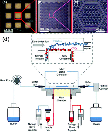 (a–c) Images of a 3-D microfilter, used for size-based mechanical separation of CTCs, at different magnifications. (d) Schematic of a dielectrophoretic CTC separation device, with detail provided for the flow chamber where an electrode sheet along the chamber floor generates an AC voltage to spatially separate CTCs from PBMCs via a DEP force. Reproduced from ref. 23, 27 with permission from AIP and Springer.