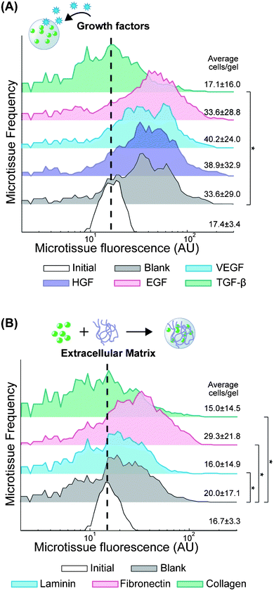 Modulation of tumor cell proliferation by cytokines and ECM. 393T5 growth within microtissues (initial 17.4±3.4 cells per gel) when (A) cultured in media containing 50 μg ml−1 VEGF, HGF, EGF, or TGF-β, or (B) encapsulated in the presence of to 20 μg ml−1 of laminin, fibronectin, or collagen-1 that remain physically entrapped within the hydrogel scaffold. Average number of cells per gel calculated from microtissue fluorescence using linear regression. * indicates p < 0.01.