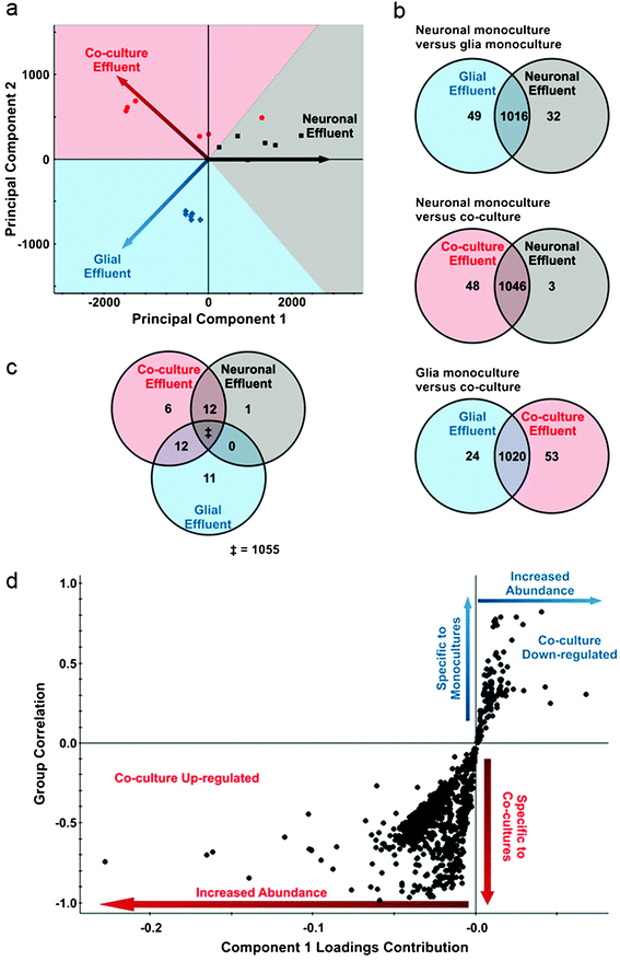 Co-culture of neurons with glia alters expression of distinct metabolites. (a) Principal component analysis of processed UPLC-IM-MS data from neurons alone (gray), glia alone (blue), and neuron-glia co-cultures (red). Each of these cultures exhibit distinct metabolic profiles giving rise to the vectored separation as depicted. Each point shows a discrete analysis where in a total of two biological and three technical replicates are represented. In each point, approximately 1100 distinct metabolites are represented in calculating the coordinates in principal component space. (b) Venn diagrams representing pairwise comparisons of each culture condition. Labeling within the circles indicate the number of significant metabolites (p < 0.05, Bonferroni-corrected) over-expressed relative to the other experimental condition. Labeling in shared regions correspond to metabolites that are not significantly altered between the two conditions. (c) Venn tripartite comparison of the metabolites observed for all experimental conditions. Uniquely over-expressed metabolites when compared to both other experimental conditions are labeled within each circle (p < 0.05, Bonferroni-corrected). Overlapping regions correspond to metabolites that are over-expressed in both experimental conditions when compared to the third. For example, there are zero metabolites that are over-expressed as a result of culturing glia alone or neurons alone that are shared when compared to co-culture conditions. This allows us to understand what is specific to the co-culture conditions and not an artifact of an individual culture. The double-dagger (“‡”) corresponds to the 1055 metabolites that are not significant (p > 0.05, Bonferroni-corrected) in a tripartite comparison of the three experimental conditions. To ensure that isotopic overlap did not influence these comparisons, the data was manually deisotoped. (d) Feature correlation and intensity are depicted for an orthogonal partial least squares-discriminant analysis of media from cultures of neurons alone, glia alone, and neuron-glia co-cultures. Each point corresponds to a detected feature through UPLC-IM-MS analysis. Quadrant III metabolites (lower left quadrant) are highly up-regulated in neuron-glia co-cultures, and quadrant I metabolites (upper right quadrant) are significantly down-regulated in co-cultures.