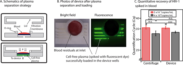 Integration of the sample preservation device with a plasma filtration module. (A) Schematic drawings that show the components of the plasma filtration module (top) and the process for obtaining cell-free plasma with this module (bottom). The pumping lid is used both to obtain plasma and to load the device. (B) Two photographs of the device after the lid has been closed and plasma has been successfully obtained from whole blood and loaded into the wells. Whole blood was spiked with 20 mM of Alexa Fluor 488 to aid visualization of the separated plasma. Left: Bright-field image, showing the red and white blood cells (residuals) at the device inlet and the plasma loaded in the wells. Right: Fluorescence image of the device (for improved visualization of the plasma within the wells). (C) A graph comparing quantification results of HIV-1 RNA from plasma extraction with a traditional centrifuge (left) and extraction using the device’s plasma filtration module (right). p Values are in the same range for both techniques: *** indicates a p value of less than 0.001, and n.s. indicates a p value higher than 0.05 (no significant difference) (see Table S4 in the ESI for full details of statistical analysis). The null hypothesis for p values was that both concentrations were equivalent. Error bars represent the 95% confidence interval (n = 3 for all experiments, except for the centrifugation experiment at the lower concentration, for which n = 5).