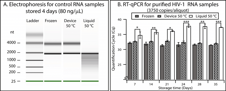 Validation of the device using control RNA and HIV-1 RNA. (A) Densitometry plot showing electrophoresis results from control RNA (80 ng μL−1) mixed with a stabilization matrix (RNAStable, Biomatrica) and stored for four days under different conditions. (B) A graph showing the results of quantitative analysis of purified HIV-1 samples performed with RT-qPCR. Error bars represent the 95% confidence interval (n = 3). Stars are used to indicate p values: * if the p value is less than 0.05, ** if less than 0.01, and *** if less than 0.001. See Table S7 in the ESI for calculations.