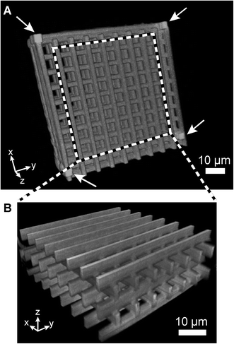 Confocal fluorescence microscopy of a freestanding autoflourescent woodpile structure on a glass cover slip with pore sizes of 8 × 8 μm in the x, y and z directions. (A) 3D reconstruction of the woodpile construct, confirming a porous 3D structure. Support pillars and beams were added at the corners and around the edges of the structure (pillars marked by white arrows). (B) Reconstruction of the center volume outlined in A.