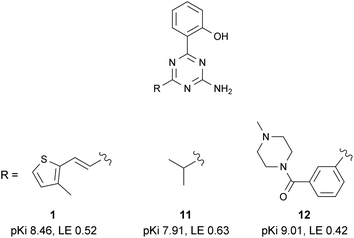 Selected SAR within the 2-amino-1,3,5-triazine series.