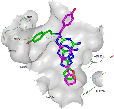 The X-ray crystal structure of ZM241385 in co-complex with A2A StaR2 (ligand shown in green; PDB code 3PWH). Overlaid in pink is the binding mode of ZM241385 observed in the T4 lysosyme structure (PDB code 3EML).